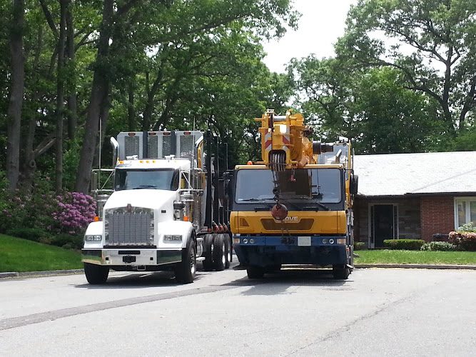 Middlesex Tree Service