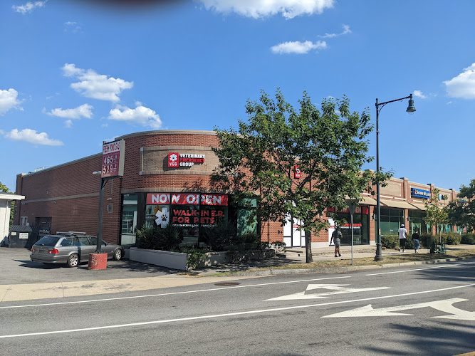 Veterinary Emergency Group