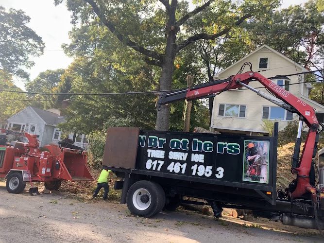 GN Brothers Tree Service