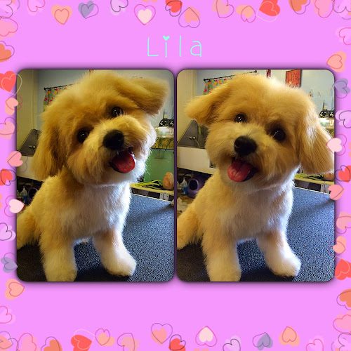 Snippers Grooming, LLC