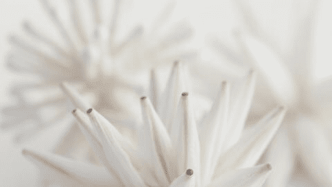 Seed Acupuncture