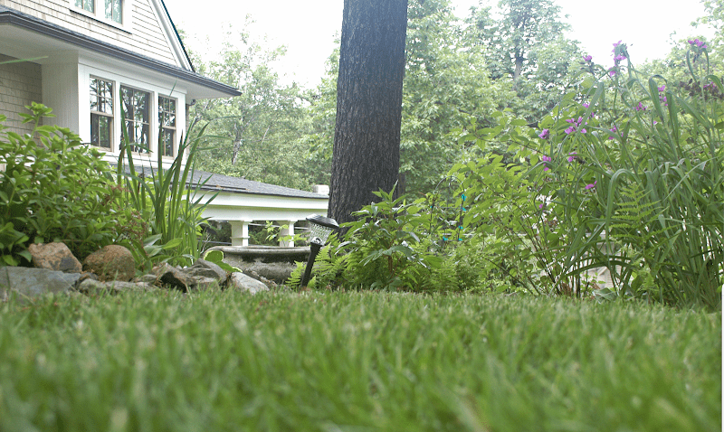 Pete’s Lawn and Garden