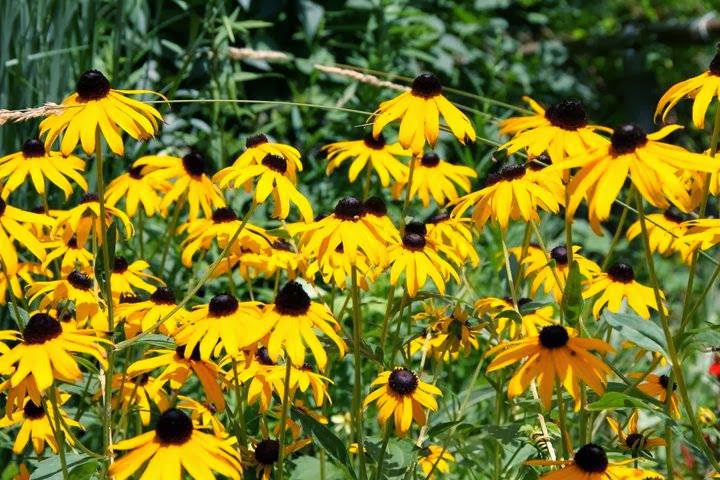 Pravaha Energy Healing & Insight