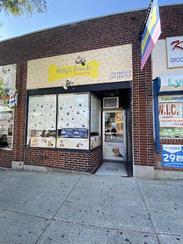 Milly’s Friends Grooming