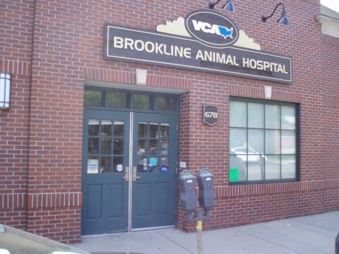 VCA Brookline Animal Hospital