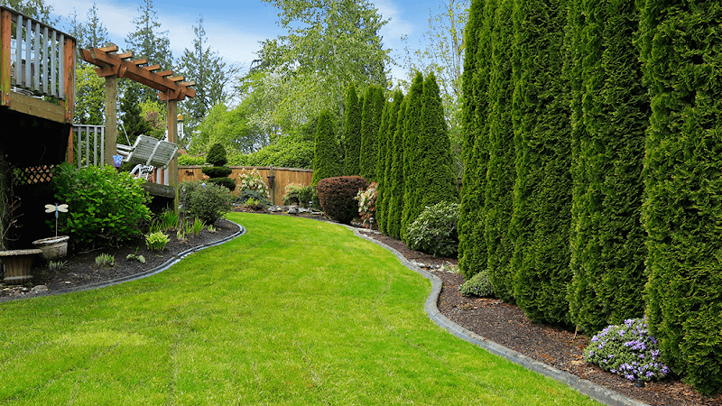 TT Landscaping Corp