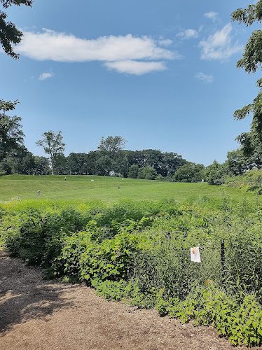 Fresh Pond Reservation