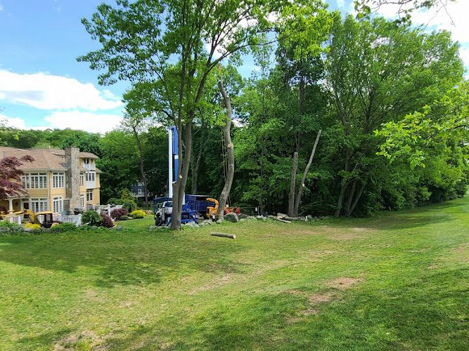 Patriot Tree Service Inc