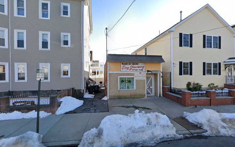 Man’s Best Friend Dog Grooming